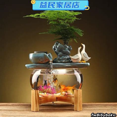 風水魚缸數量|養魚招財：最佳魚隻數量